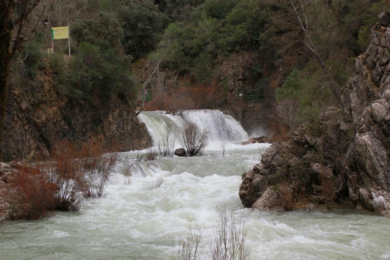 Alojamiento Aguasblanquillas Coto Rios Eksteriør bilde