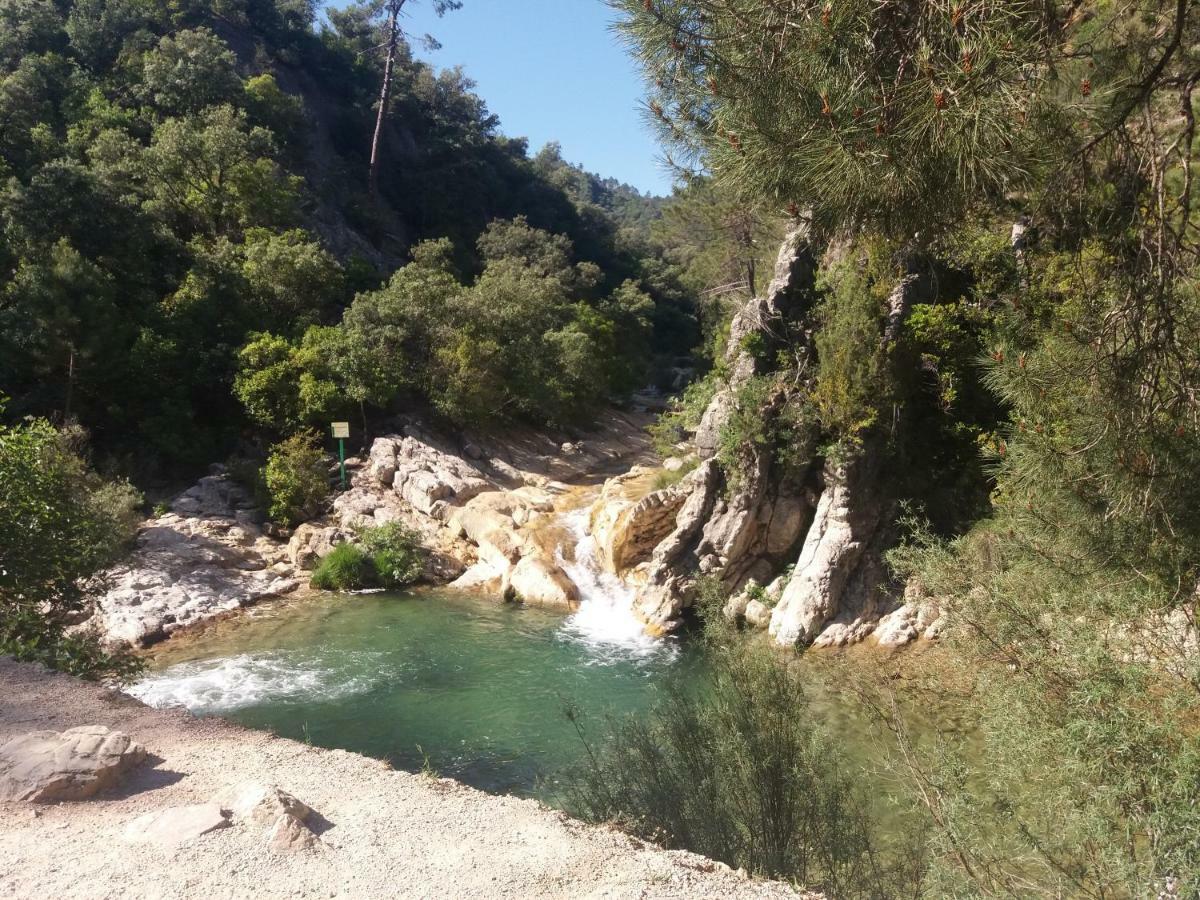 Alojamiento Aguasblanquillas Coto Rios Eksteriør bilde